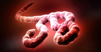 5 Most Dangerous Diseases Symtoms In EBOLA
